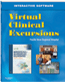 VCE Leifer Cover